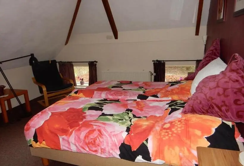 バス共有のスタンダードルーム, Bed & Breakfast Onder Dak