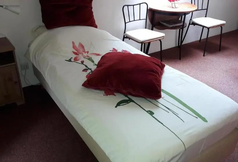 バスルーム共有のシングルスタンダード, Bed & Breakfast Onder Dak