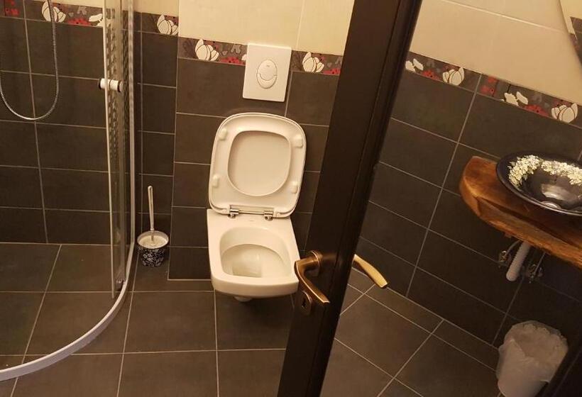 Номер Стандарт, Pensiunea Agroturistica Cerna, Vaideeni, Valcea