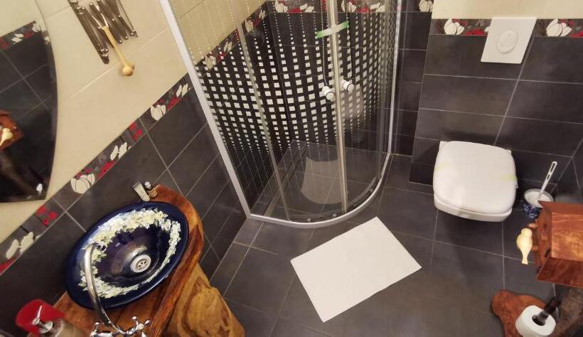 Номер Стандарт, Pensiunea Agroturistica Cerna, Vaideeni, Valcea