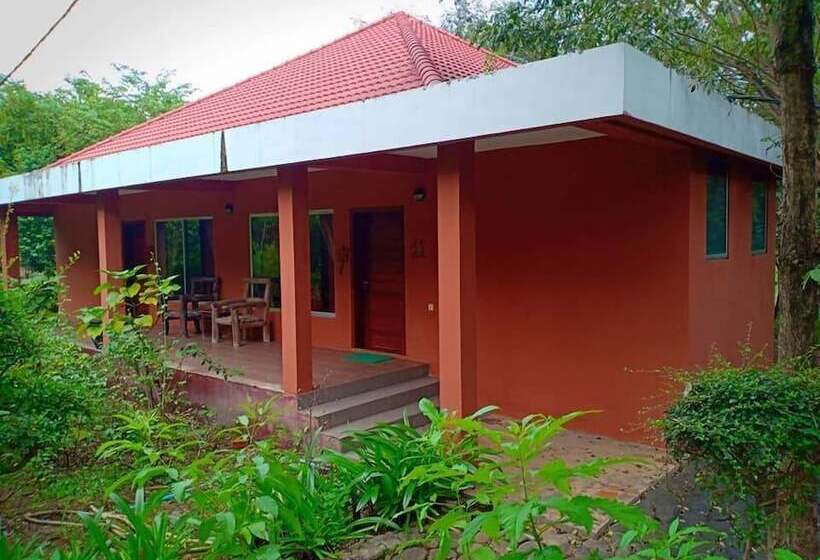 デラックスルーム, Memoria Palace & Resort