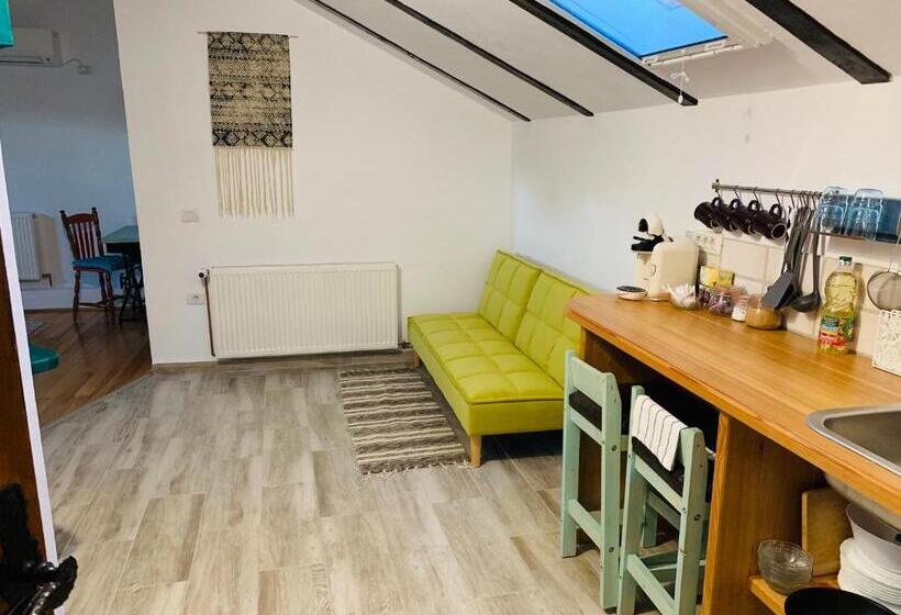 Студия Стандарт, Casa La Moara Din Grădină