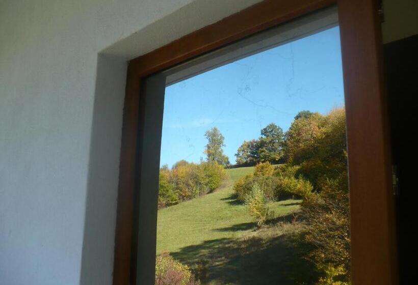 디럭스 룸 킹사이즈 침대, Pensiune Marginimea Sibiului