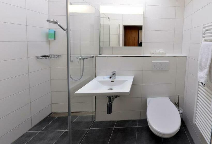 غرفة قياسية, De La Gare