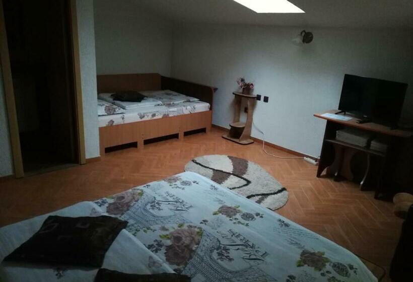 スタンダード４人部屋, Pensiunea Dandu