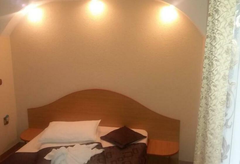 バルコニー付きスタンダードルーム, Pensiunea Dandu