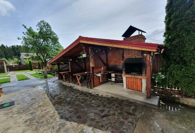 ビラホテル１ベッドルーム, Pensiunea Dandu