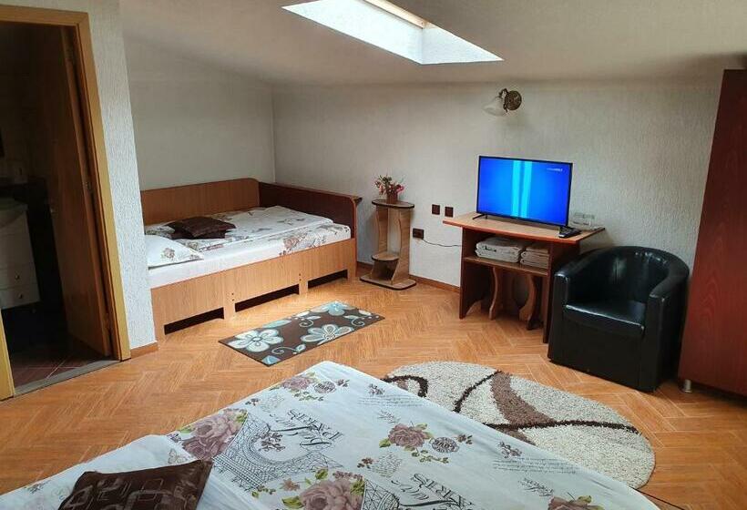 スタンダード４人部屋, Pensiunea Dandu