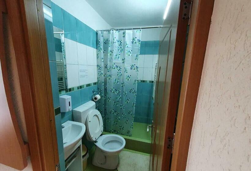 バルコニー付きスタンダードルーム, Pensiunea Dandu