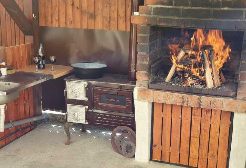 ビラホテル１ベッドルーム, Pensiunea Dandu