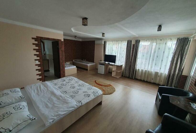 デラックスファミリールーム, Pensiunea Dandu