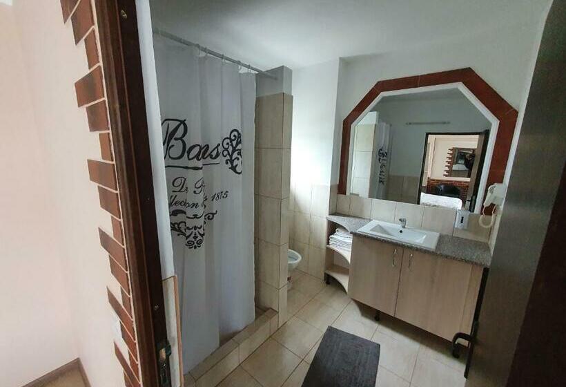 デラックスファミリールーム, Pensiunea Dandu