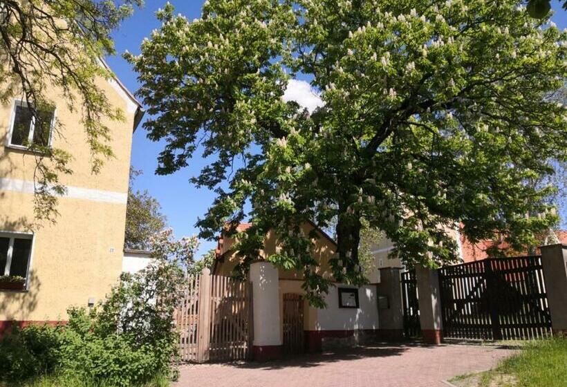 스탠다드 룸, Gästehaus Liemehna