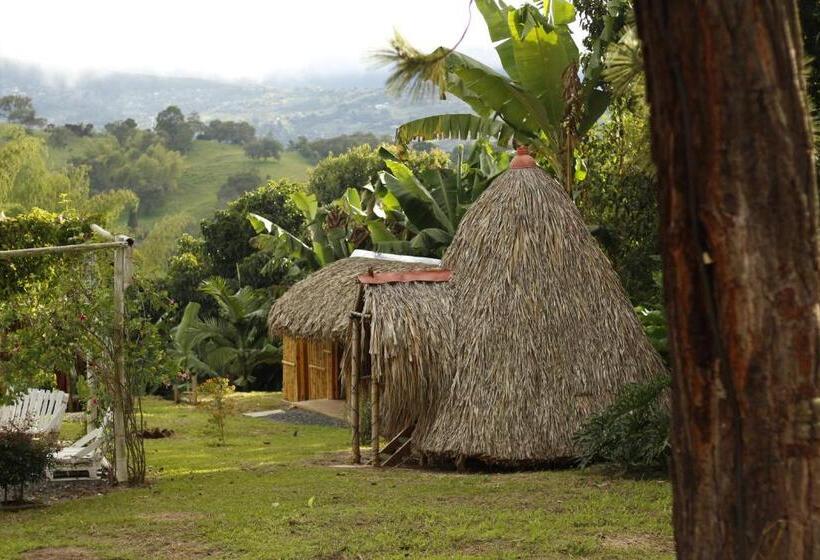 Бунгало Стандарт, San Julio Campestre