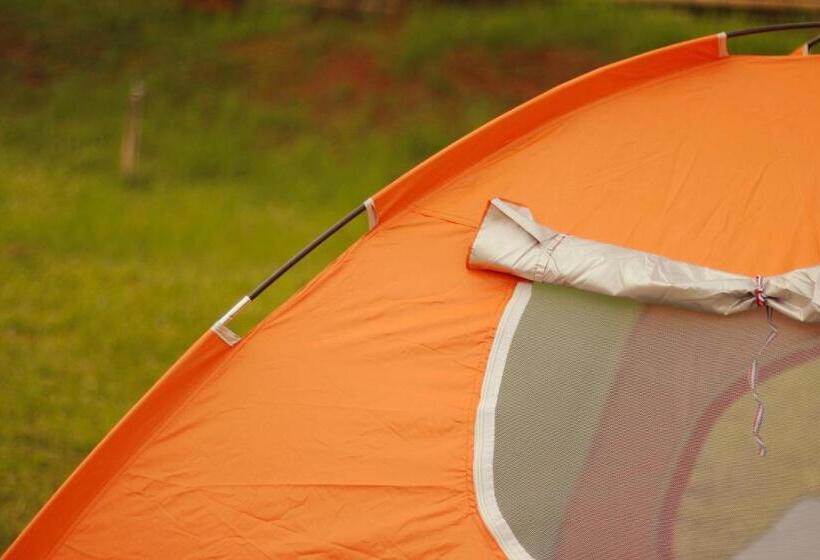 Standard Tent, San Julio Campestre