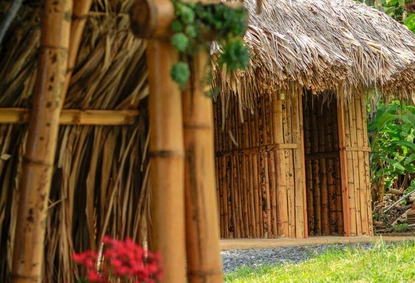 Бунгало Стандарт, San Julio Campestre