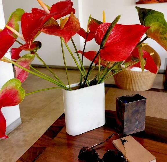 חדר סטנדרט עם מיטת קינג, Villa Maggona