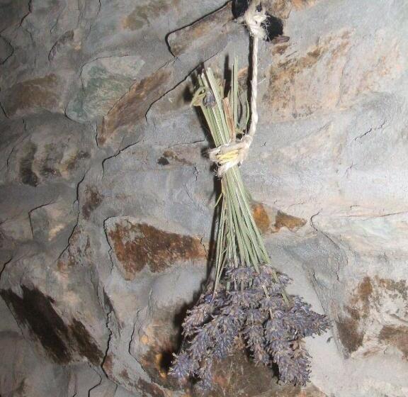 家庭间, B&b Le Renard Dormant