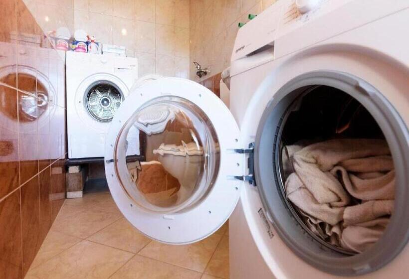 شقة غرفة نوم واحدة مزودة بتراس مطلة على البحر, Apartments Milic