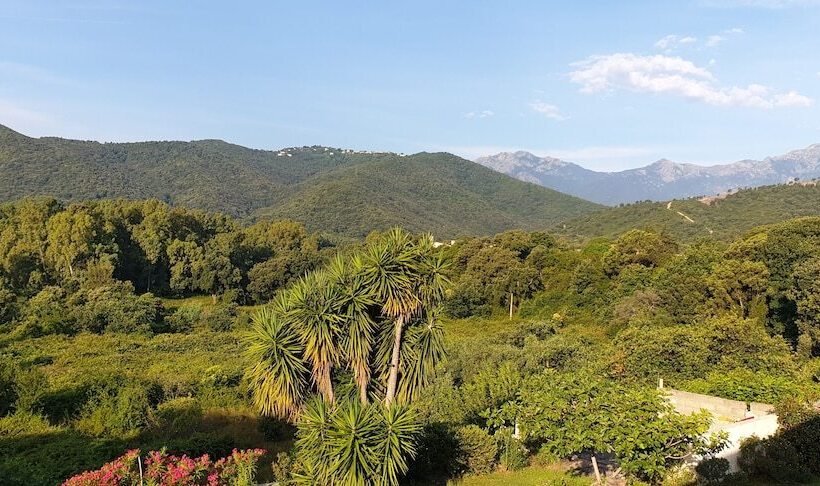 スタンダードトリプルルーム, House Angeli