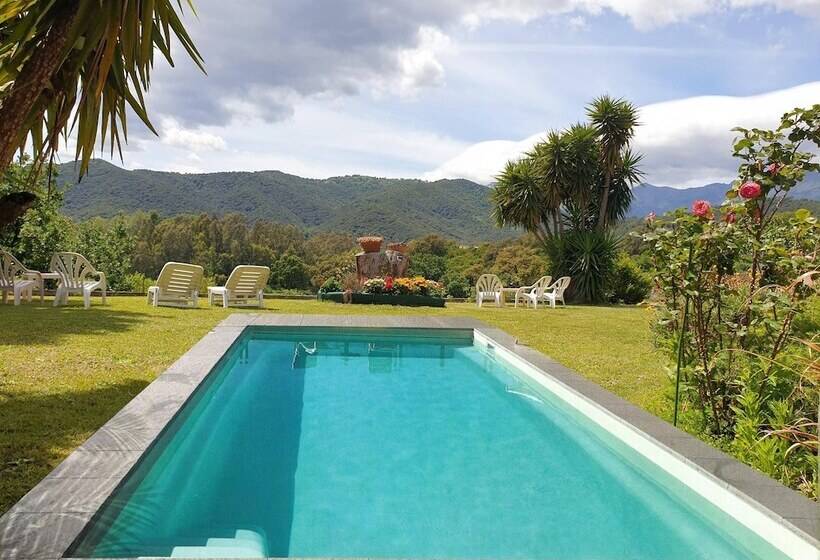 スタンダードトリプルルーム, House Angeli