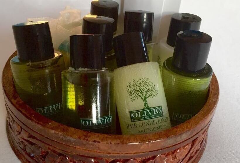 غرفة عائلية, Alterna Koy Evi