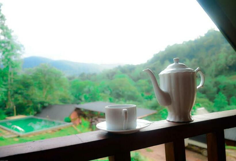 マウンテンビュースタンダードルーム, Sinharaja Forest Gate