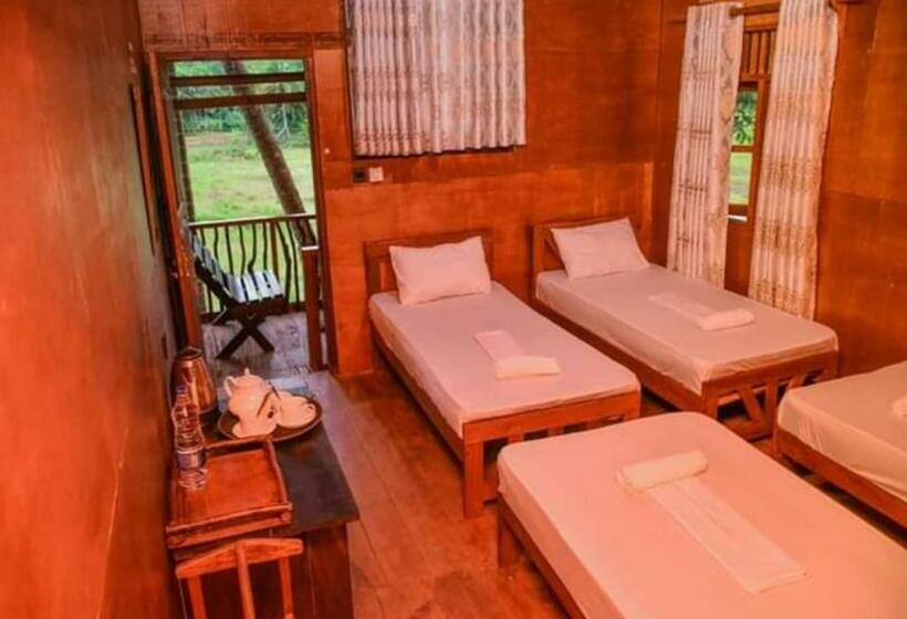 ルームシェアのワンベッド, Sinharaja Forest Gate