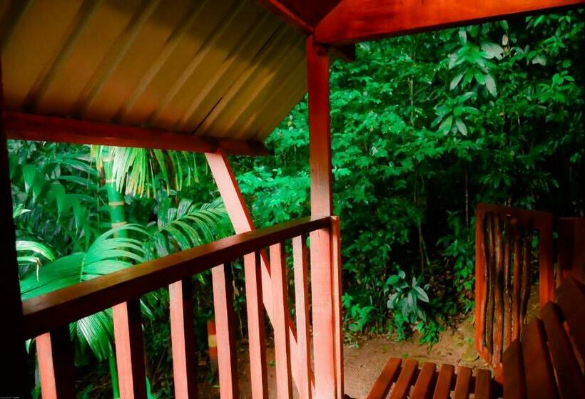 マウンテンビュースタンダードルーム, Sinharaja Forest Gate