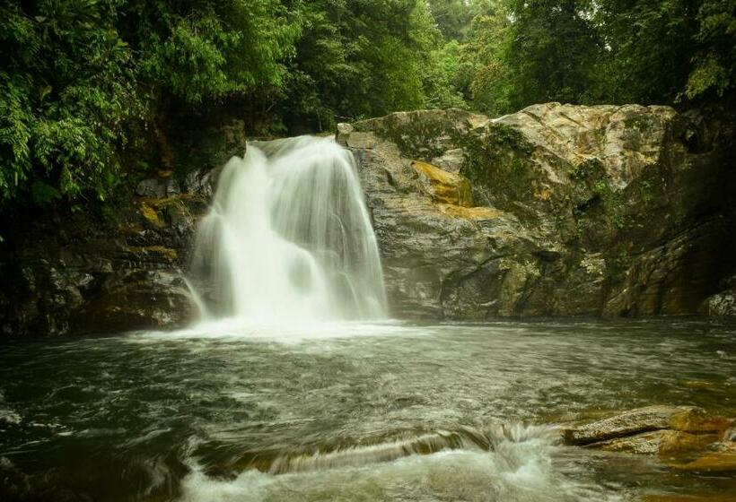 マウンテンビュースタンダードルーム, Sinharaja Forest Gate