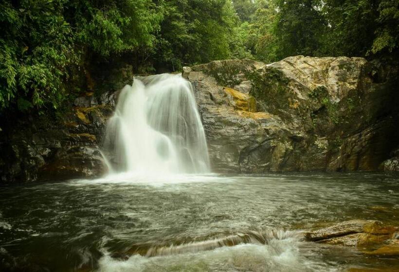 共用房间的床, Sinharaja Forest Gate