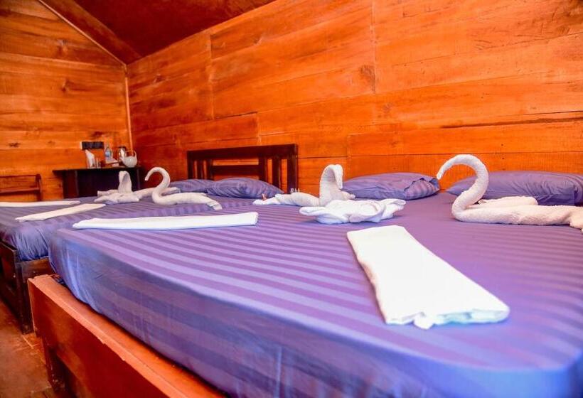 スタンダードルーム, Sinharaja Forest Gate