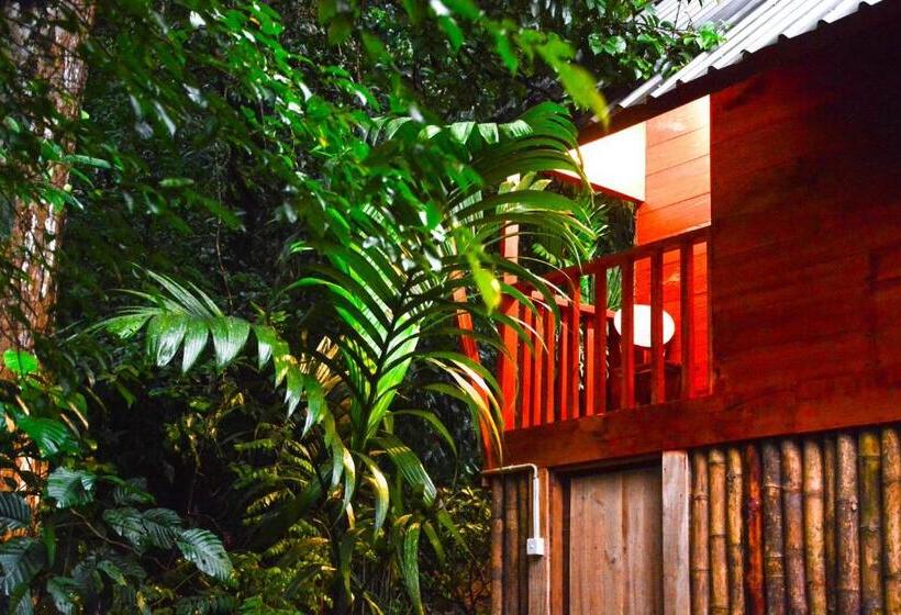 デラックスルーム, Sinharaja Forest Gate