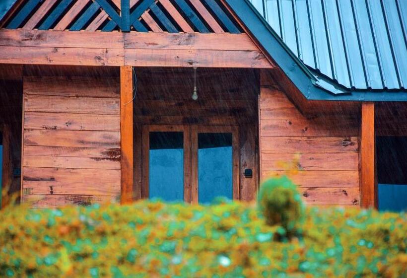 ファミリールーム, Sinharaja Forest Gate