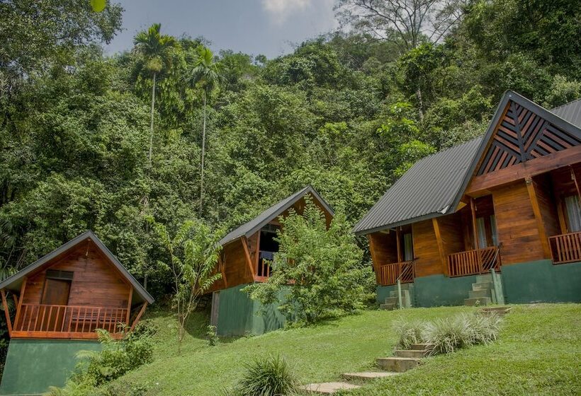 スタンダードトリプルルーム, Sinharaja Forest Gate