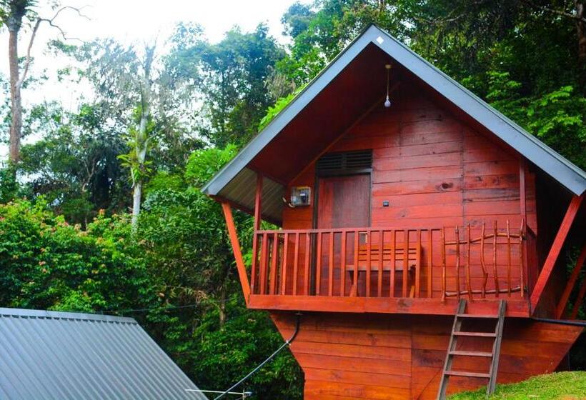 スタンダードトリプルルーム, Sinharaja Forest Gate