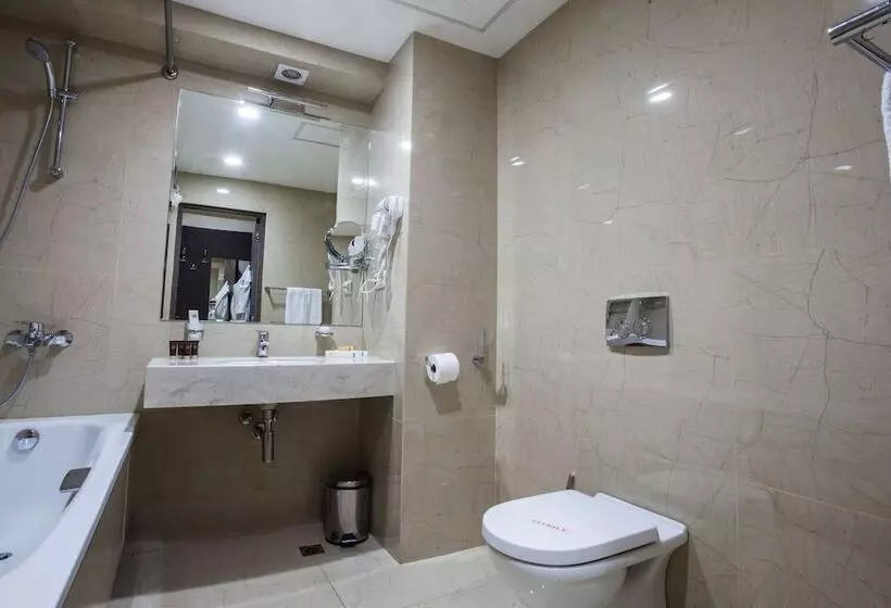 اتاق لوکس یک تخته, Aviatrans