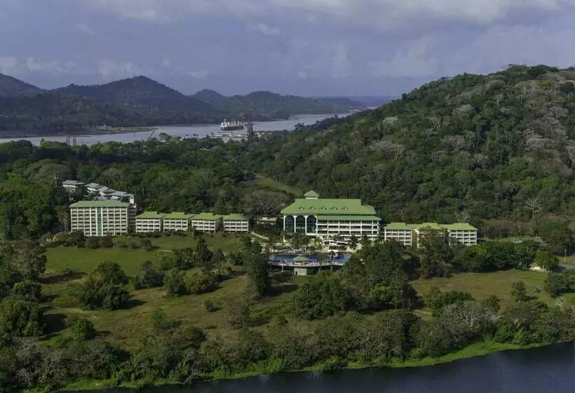 Perhehuone, Gamboa Rainforest Reserve