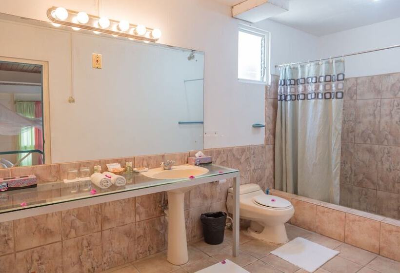 اتاق پنت هاوس, Half Moon Blue