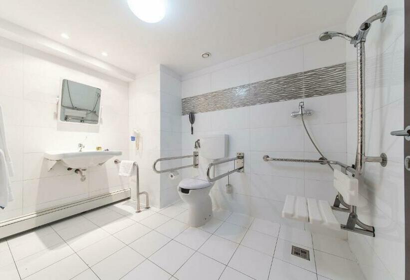 اتاق استاندارد برای معلولان, Parliament