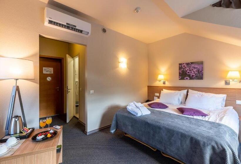 Superior Room, Sigulda