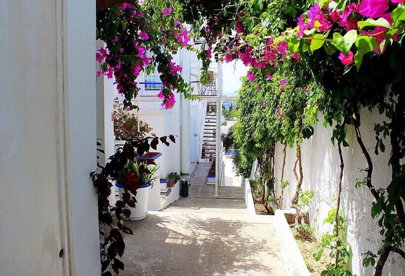 סוויטה משפחתית, Sky Vela Hotel   All Inclusive