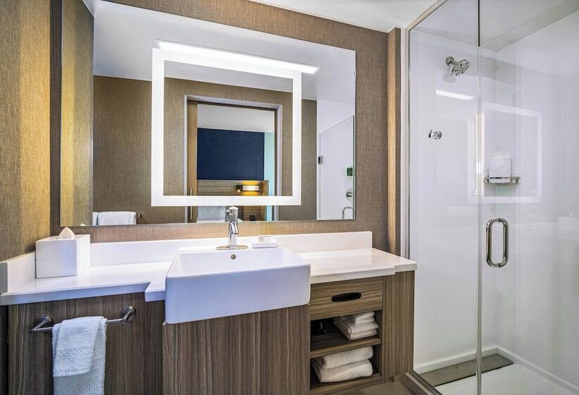 스위트, Springhill Suites By Marriott Phoenix Goodyear