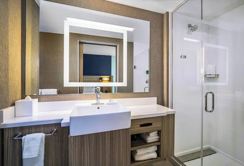 スイート, Springhill Suites By Marriott Phoenix Goodyear
