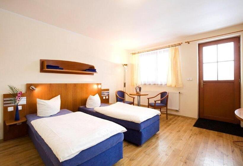 غرفة قياسية, Oaza Ricany