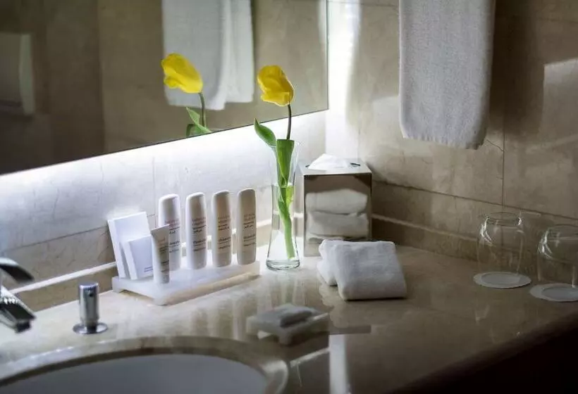 اتاق اجرایی, Radisson Blu Hotel, Beirut Verdun