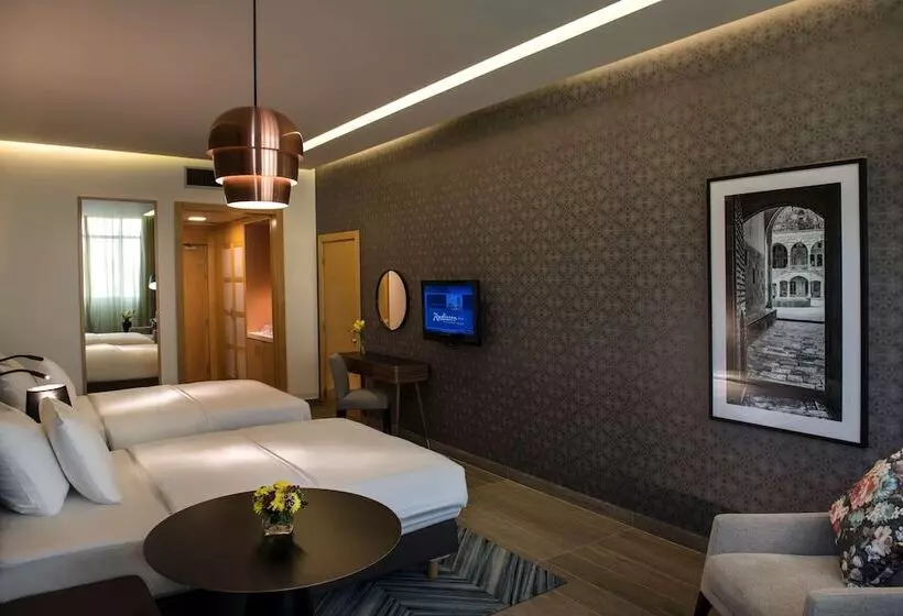 اتاق اجرایی, Radisson Blu Hotel, Beirut Verdun