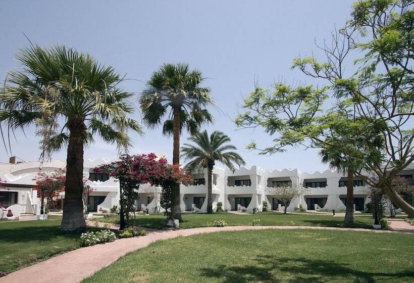 اتاق استاندارد سه نفره, Swiss Inn Resort Dahab