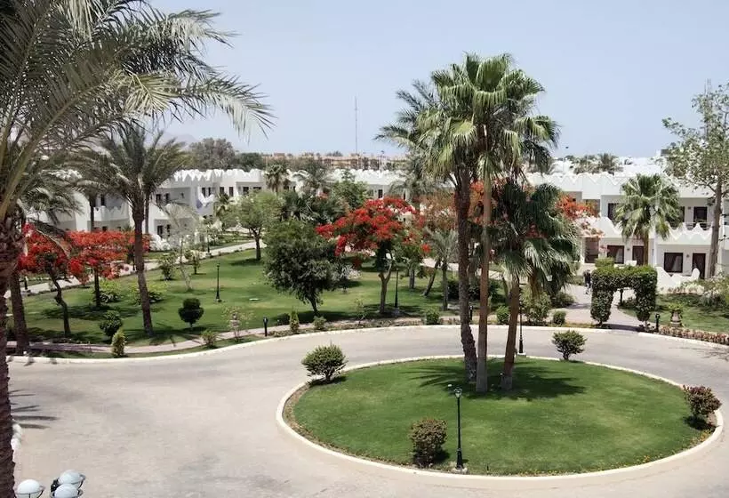 スタンダードトリプルルーム, Swiss Inn Resort Dahab