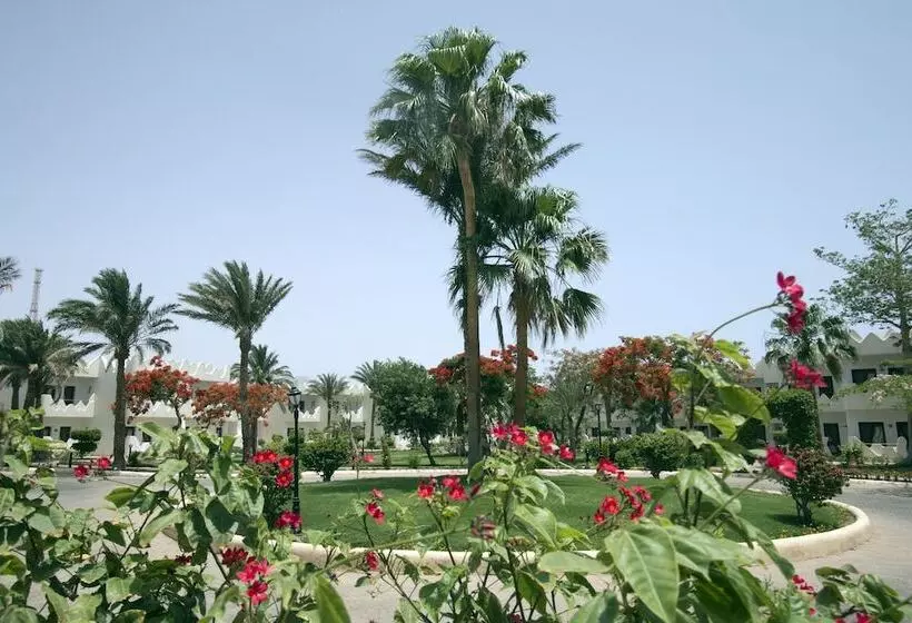 スタンダードトリプルルーム, Swiss Inn Resort Dahab